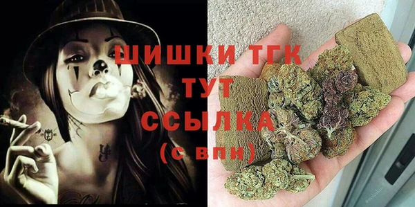 трава Коряжма