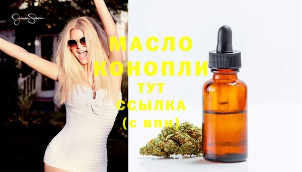 трава Коряжма