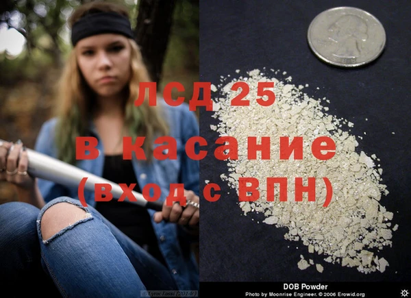 трава Коряжма
