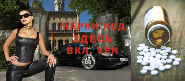 трава Коряжма