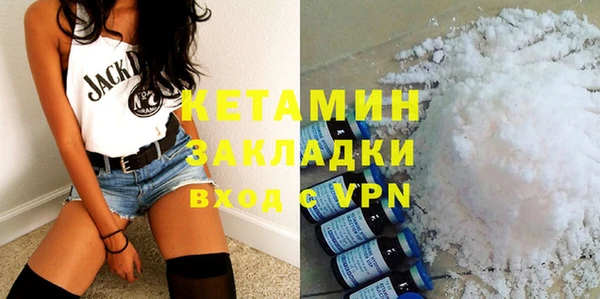 трава Коряжма