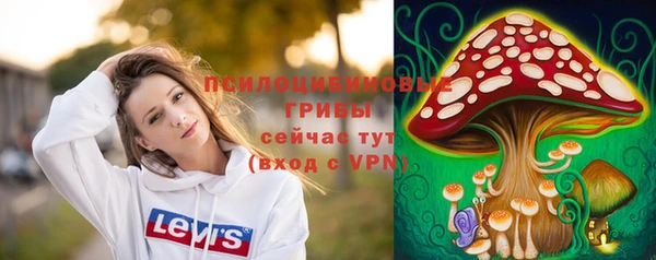 трава Коряжма