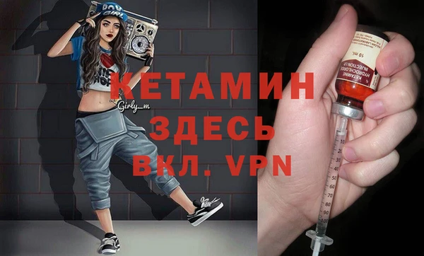 трава Коряжма