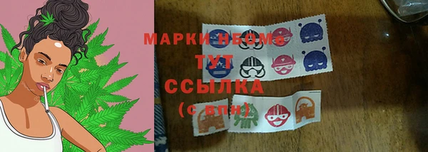 трава Коряжма