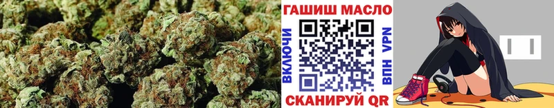 Купить где Городовиковск ТГК гашишное масло